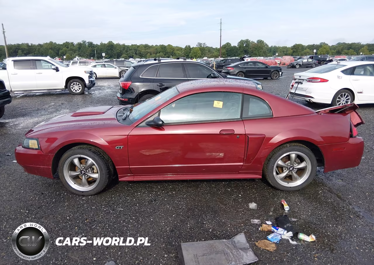 2003 Ford Mustang Gt VIN:1FAFP42X13F339882 - 14