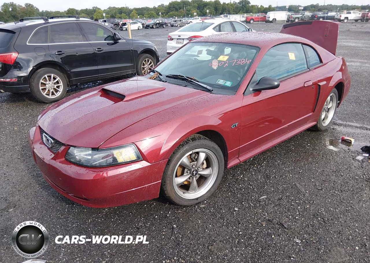 2003 Ford Mustang Gt VIN:1FAFP42X13F339882 - 2