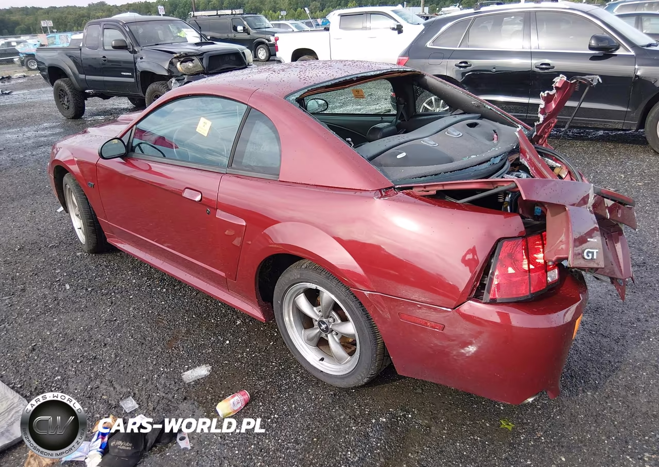 2003 Ford Mustang Gt VIN:1FAFP42X13F339882 - 3