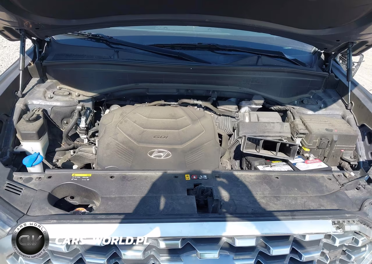2020 Hyundai Palisade Sel VIN:KM8R2DHE3LU107948 - 10
