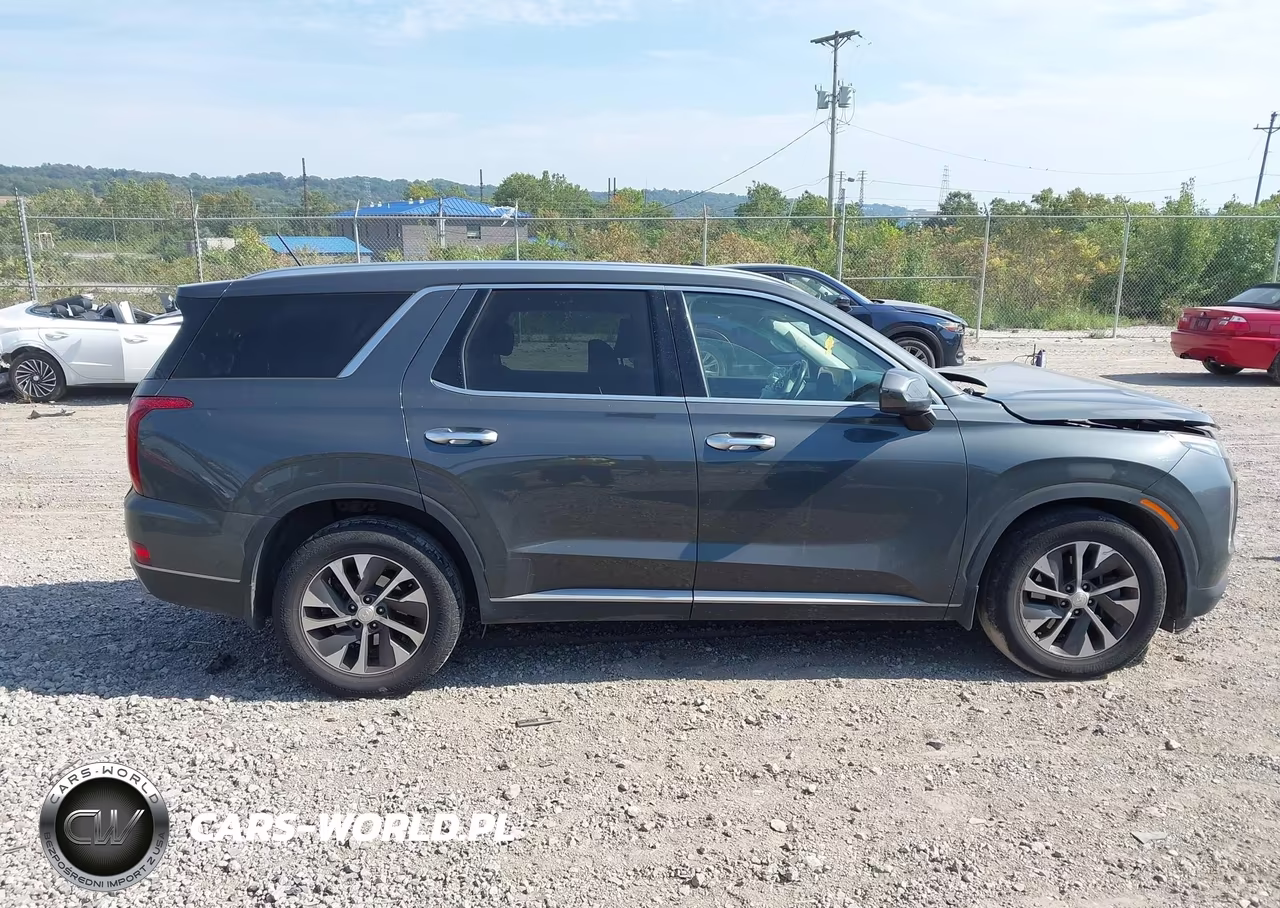 2020 Hyundai Palisade Sel VIN:KM8R2DHE3LU107948 - 14