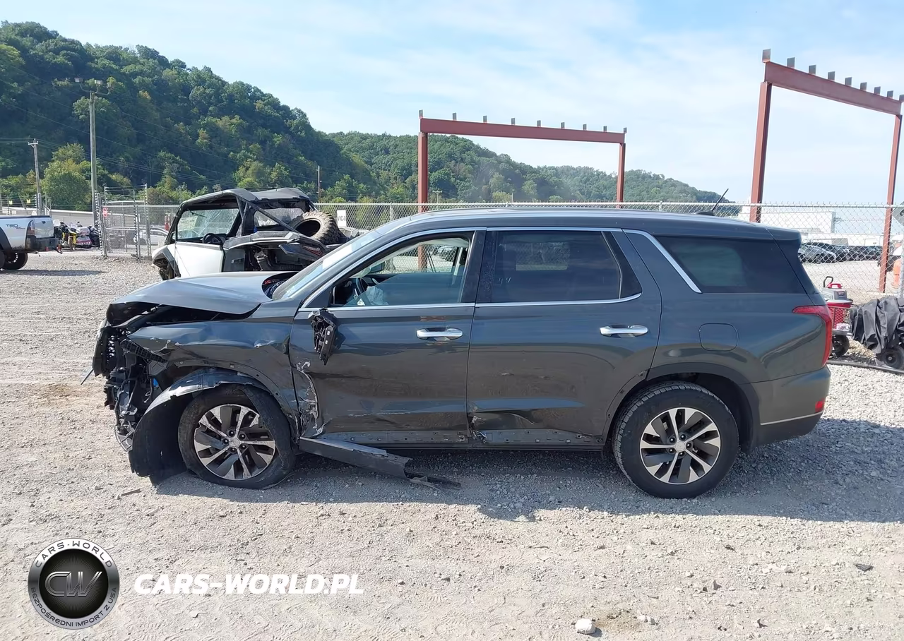 2020 Hyundai Palisade Sel VIN:KM8R2DHE3LU107948 - 15