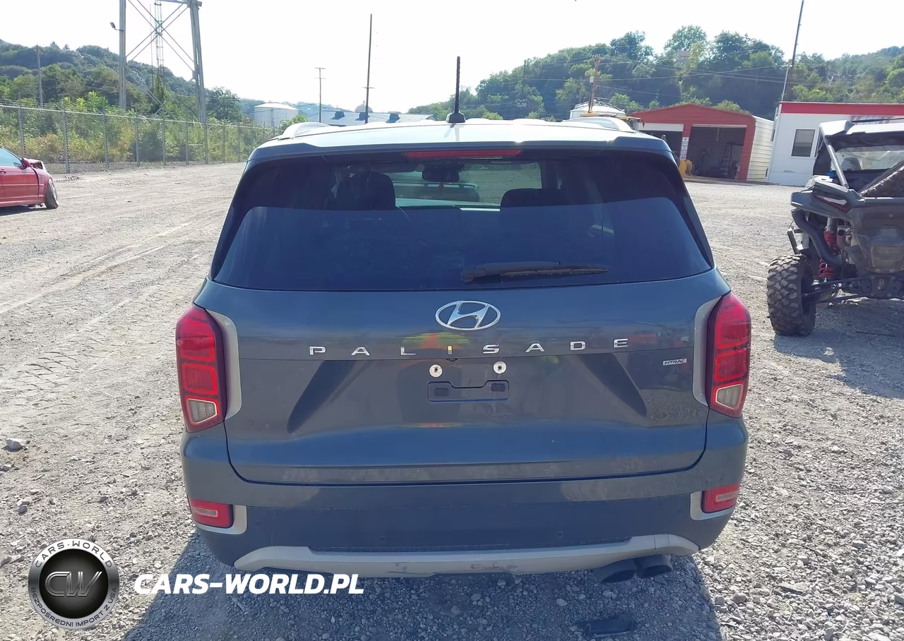 2020 Hyundai Palisade Sel VIN:KM8R2DHE3LU107948 - 17