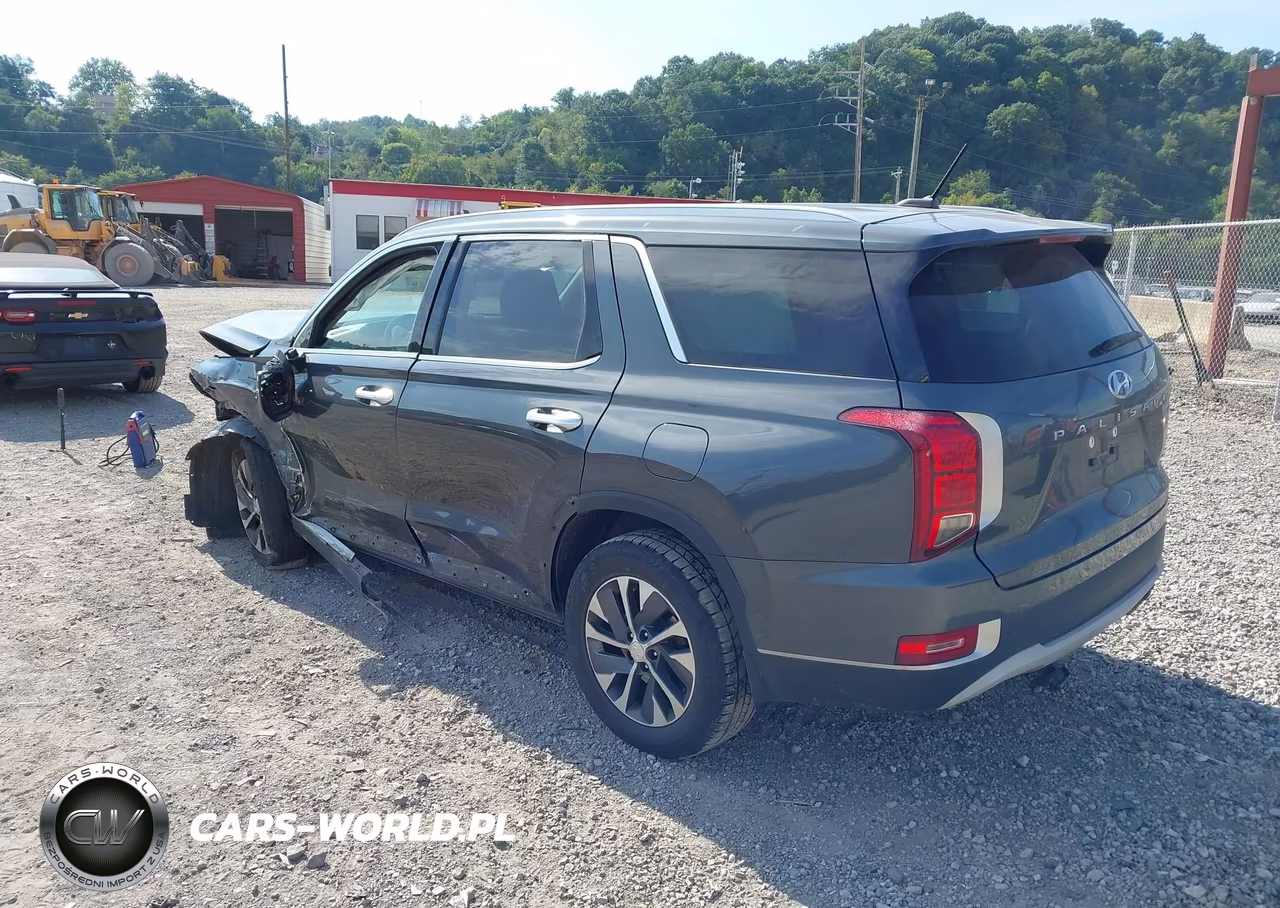 2020 Hyundai Palisade Sel VIN:KM8R2DHE3LU107948 - 3