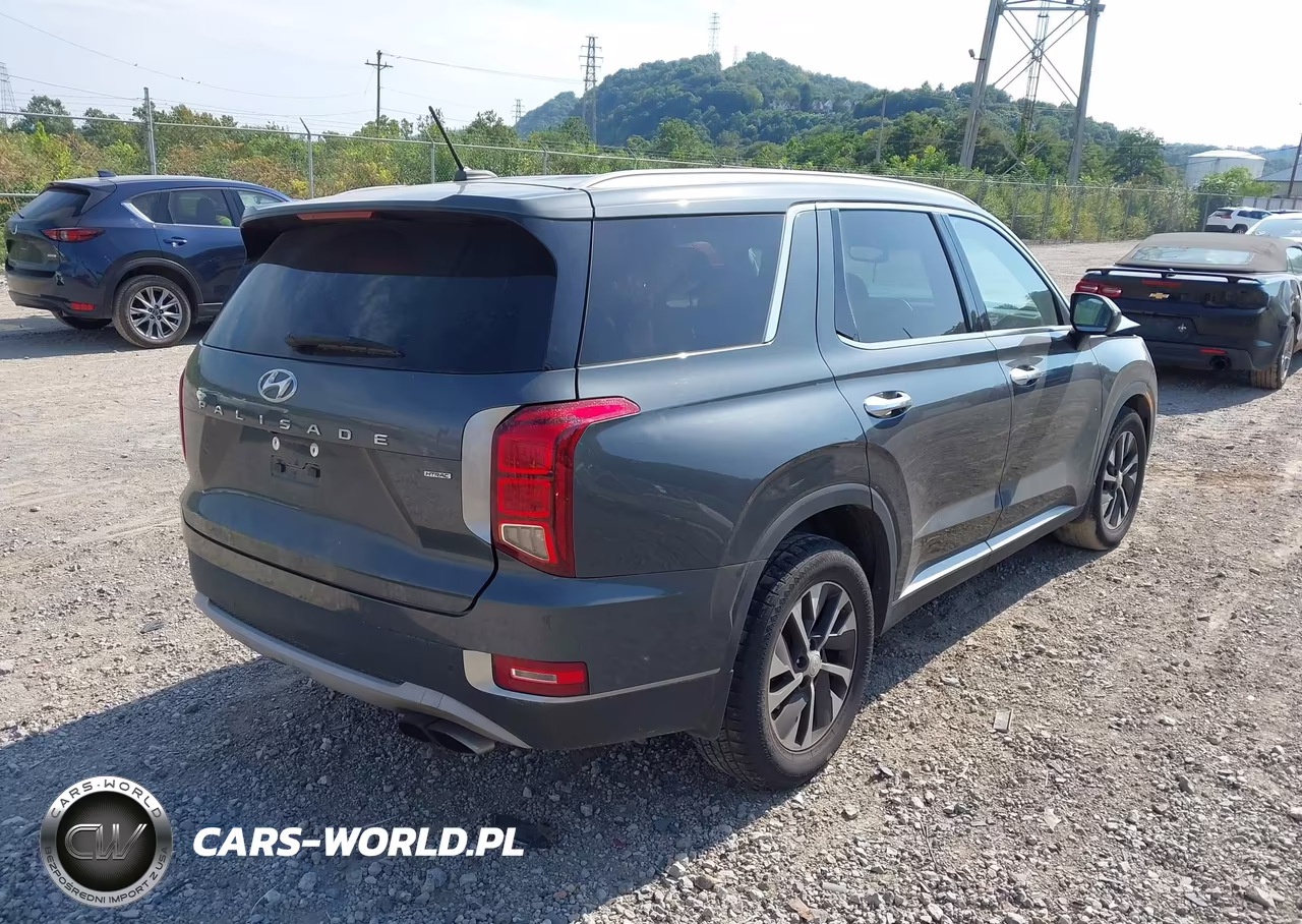 2020 Hyundai Palisade Sel VIN:KM8R2DHE3LU107948 - 4