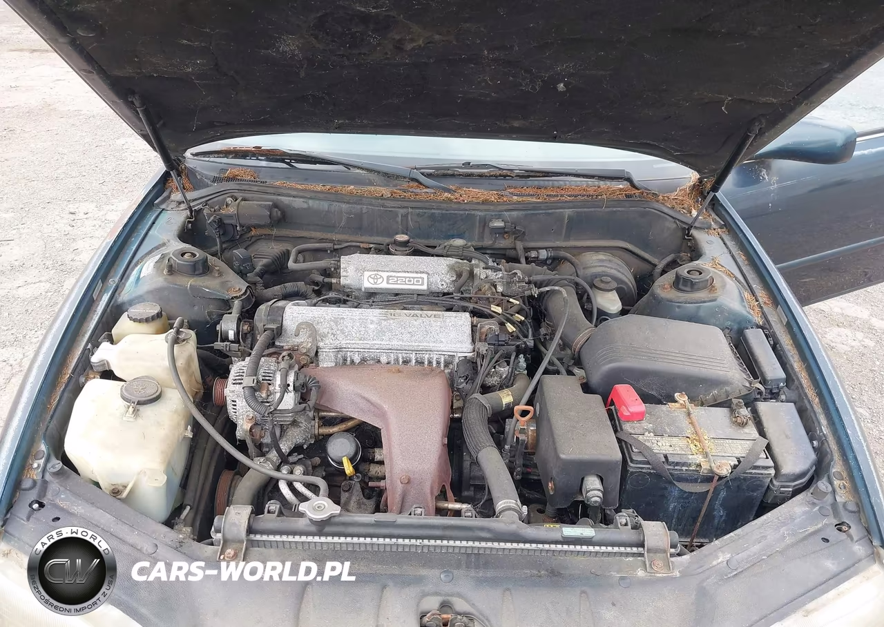 1992 Toyota Camry Le VIN:4T1SK12EXNU010760 - 10