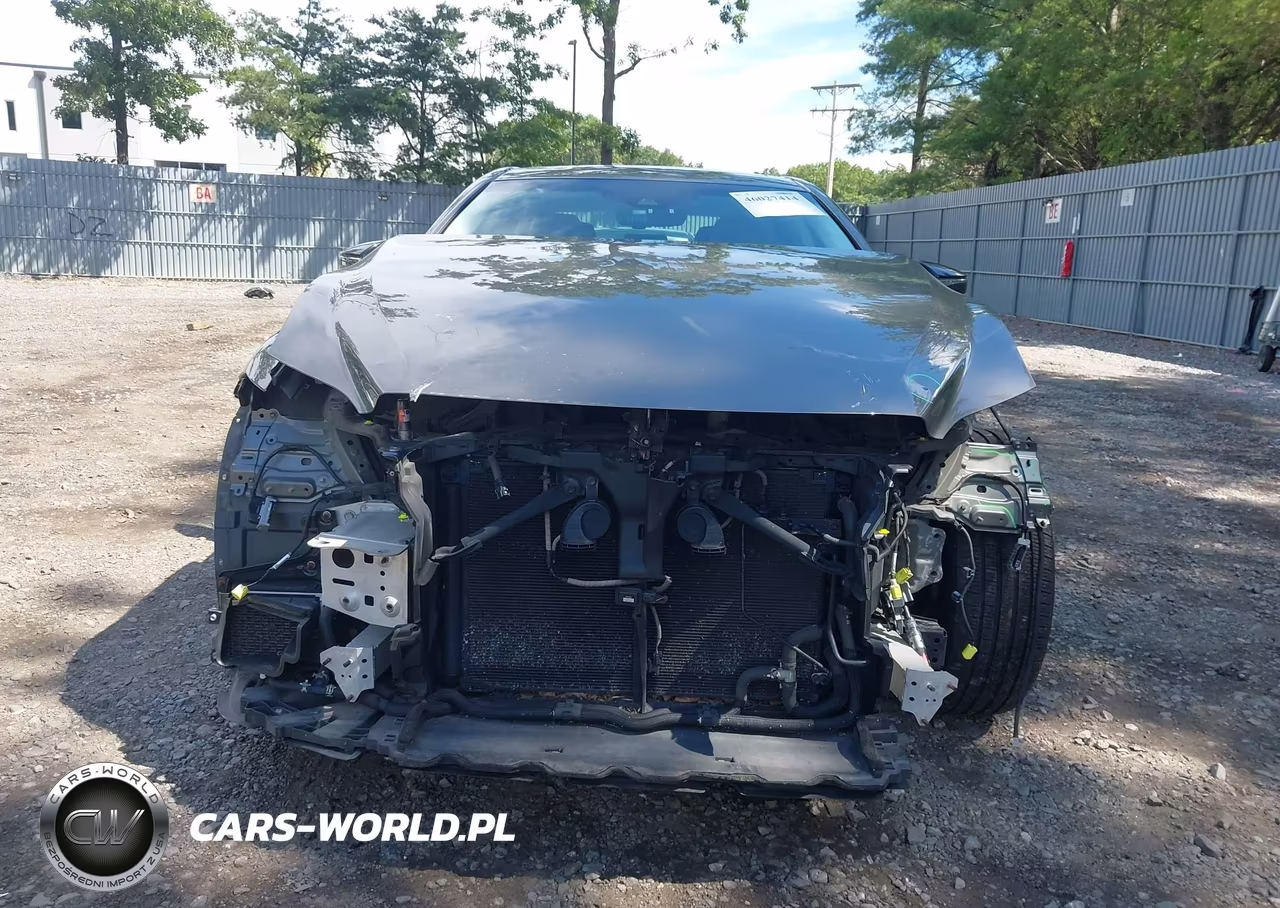 2019 Lexus Ls 500 VIN:JTHC51FF0K5007065 - 12