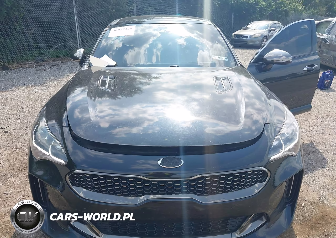 2019 Kia Stinger Gt1 VIN:KNAE45LC0K6053520 - 10