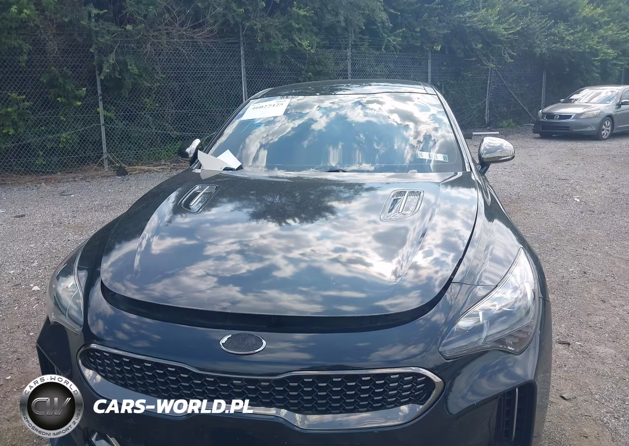 2019 Kia Stinger Gt1 VIN:KNAE45LC0K6053520 - 13