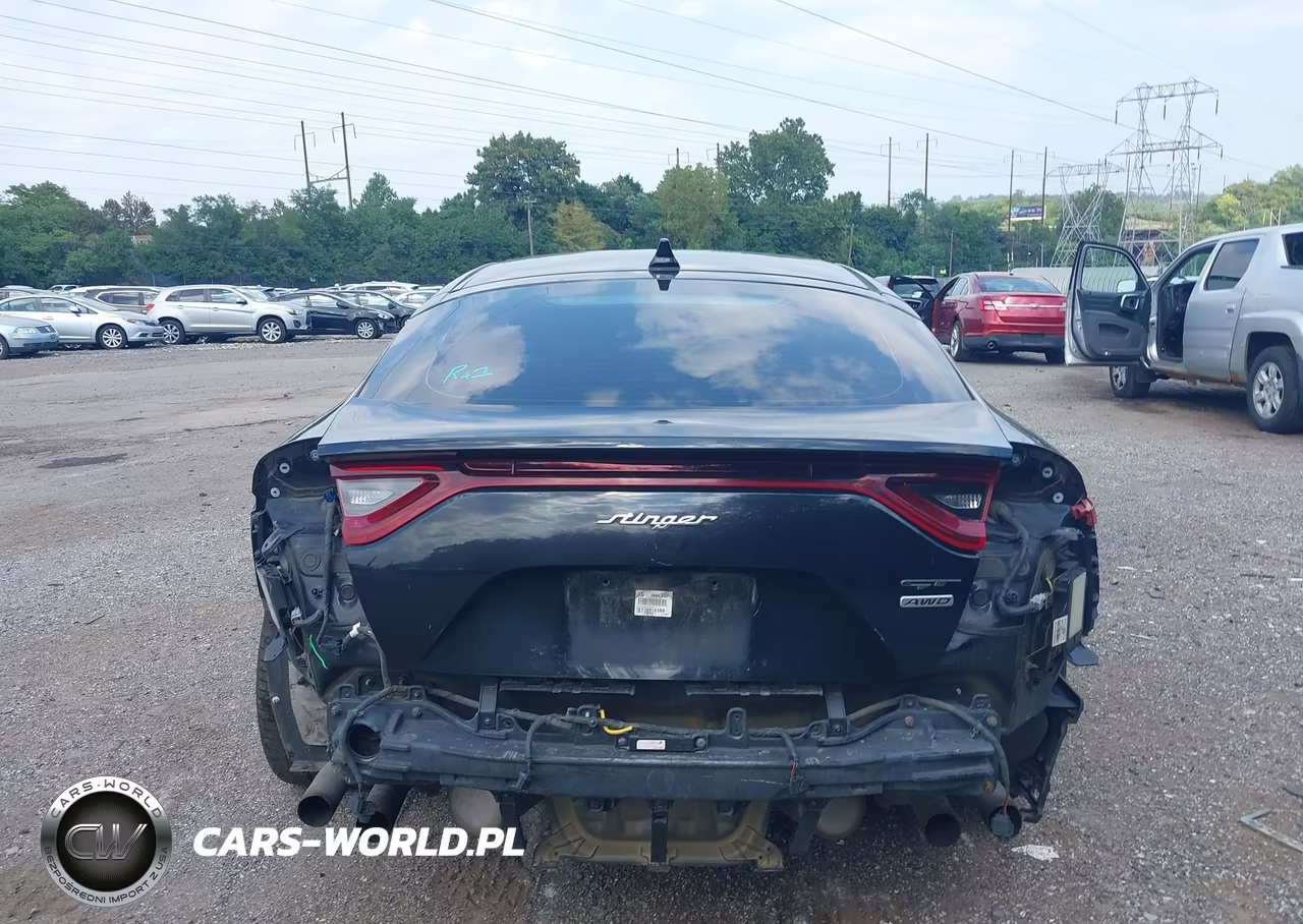 2019 Kia Stinger Gt1 VIN:KNAE45LC0K6053520 - 17