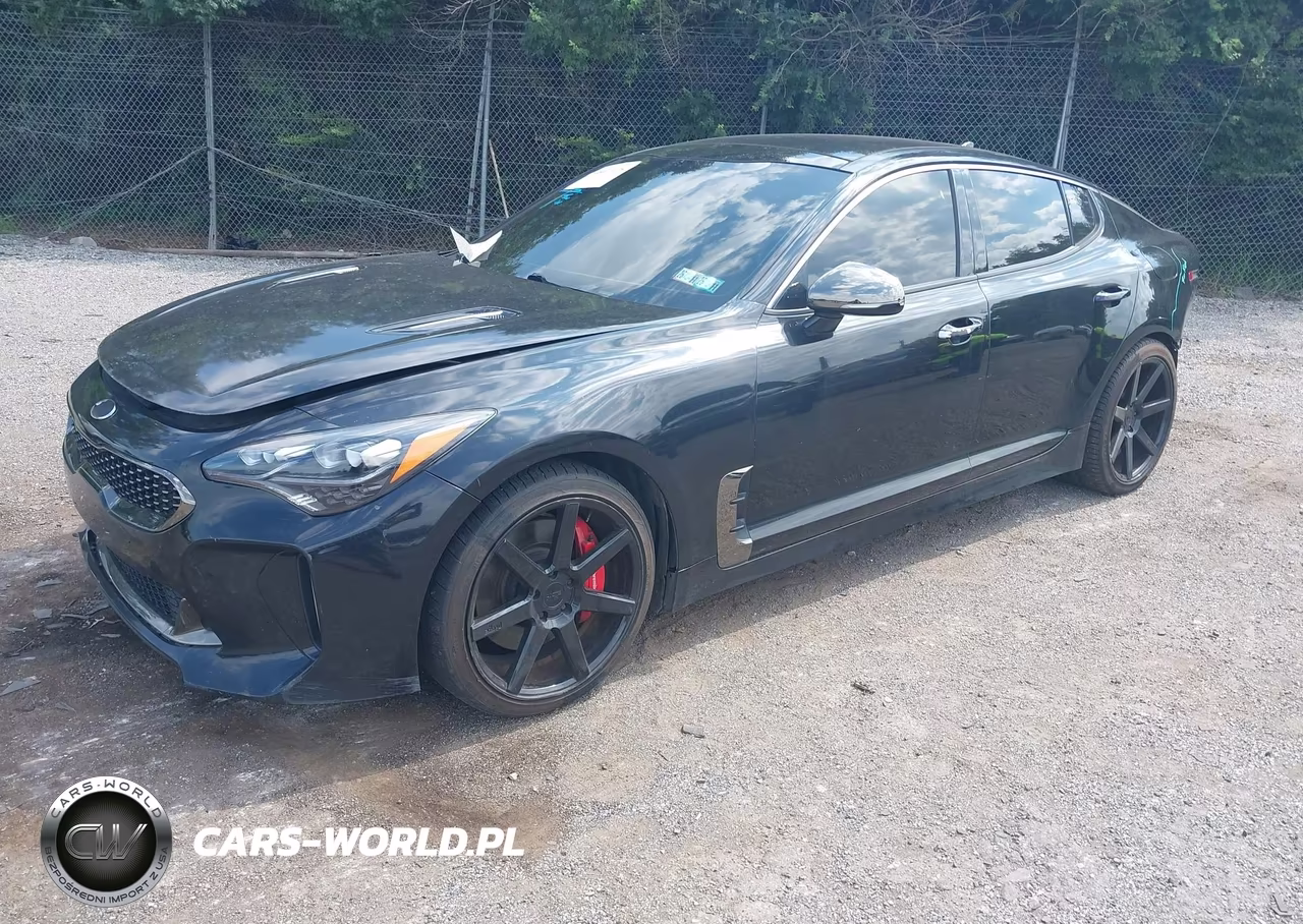 2019 Kia Stinger Gt1 VIN:KNAE45LC0K6053520 - 2