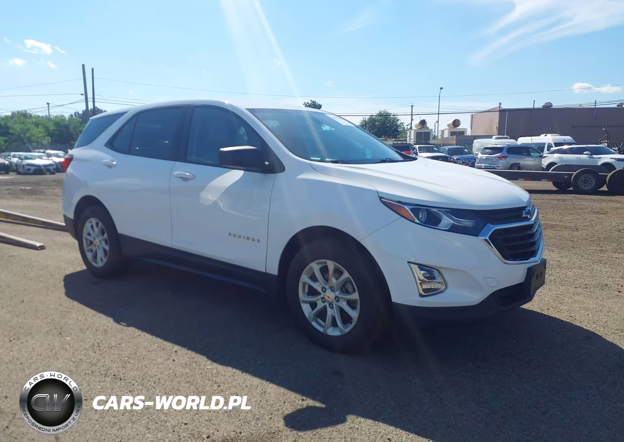 2019 Chevrolet Equinox Ls – zdjęcie 1 z 16