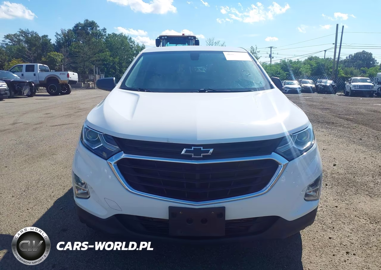 2019 Chevrolet Equinox Ls VIN:2GNAXSEV3K6209752 - 12