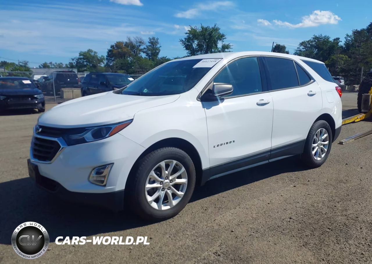 2019 Chevrolet Equinox Ls VIN:2GNAXSEV3K6209752 - 2