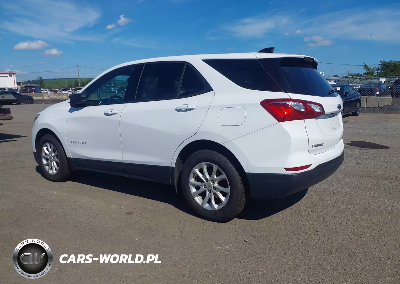 2019 Chevrolet Equinox Ls VIN:2GNAXSEV3K6209752 - 3