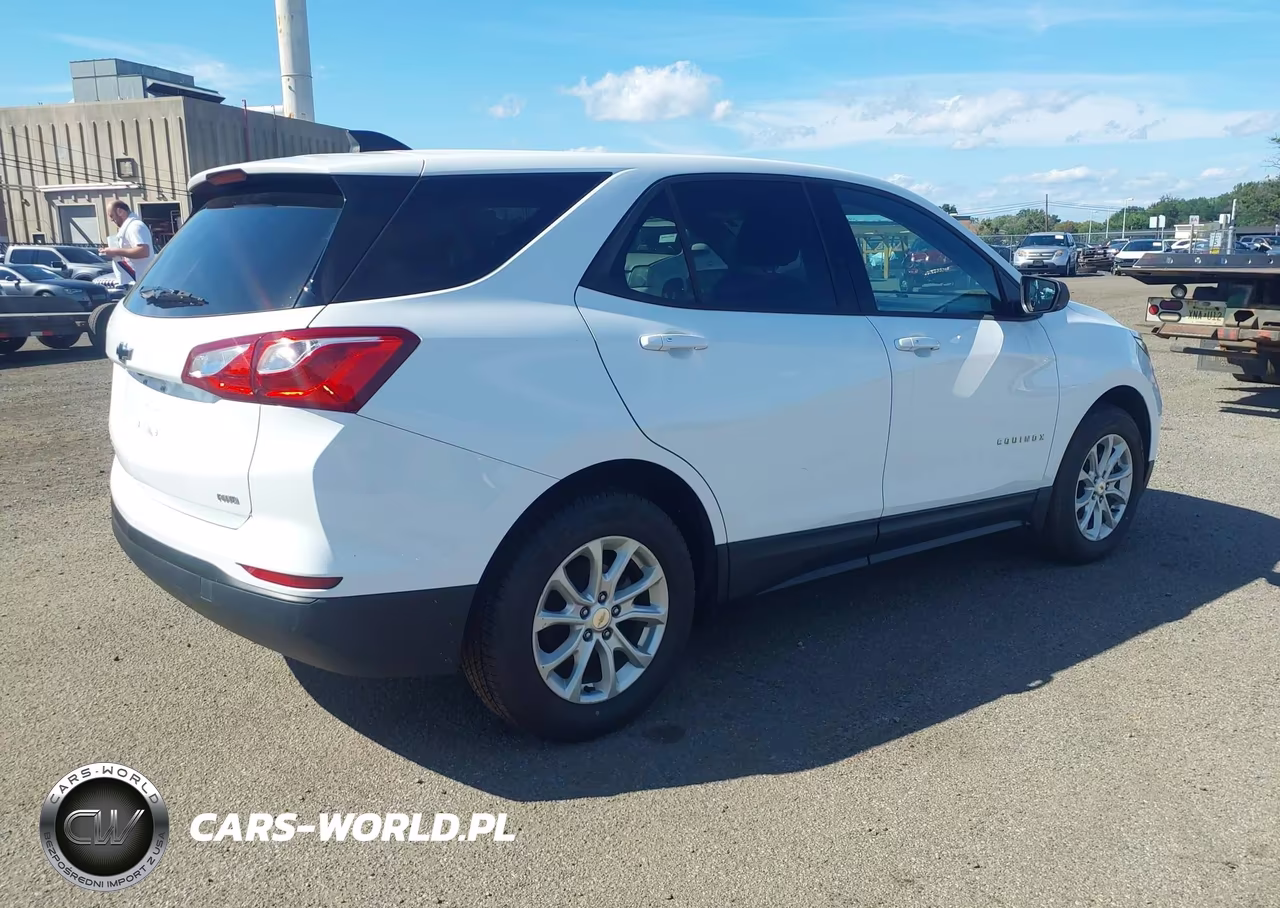 2019 Chevrolet Equinox Ls VIN:2GNAXSEV3K6209752 - 4