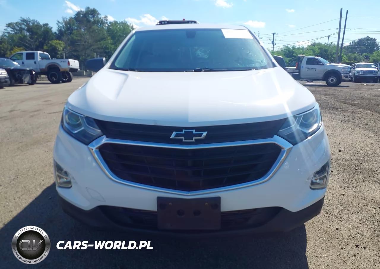 2019 Chevrolet Equinox Ls VIN:2GNAXSEV3K6209752 - 6