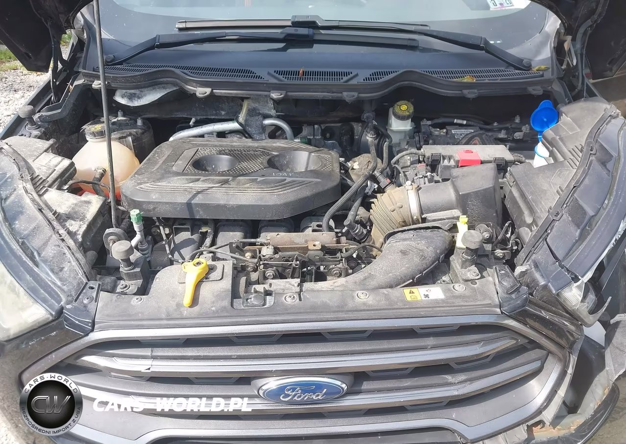 2018 Ford Ecosport Ses VIN:MAJ6P1CL1JC159553 - 10