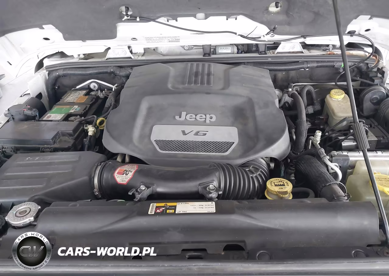 2014 Jeep Wrangler Unlimited Altitude VIN:1C4BJWEG2EL323003 - 10