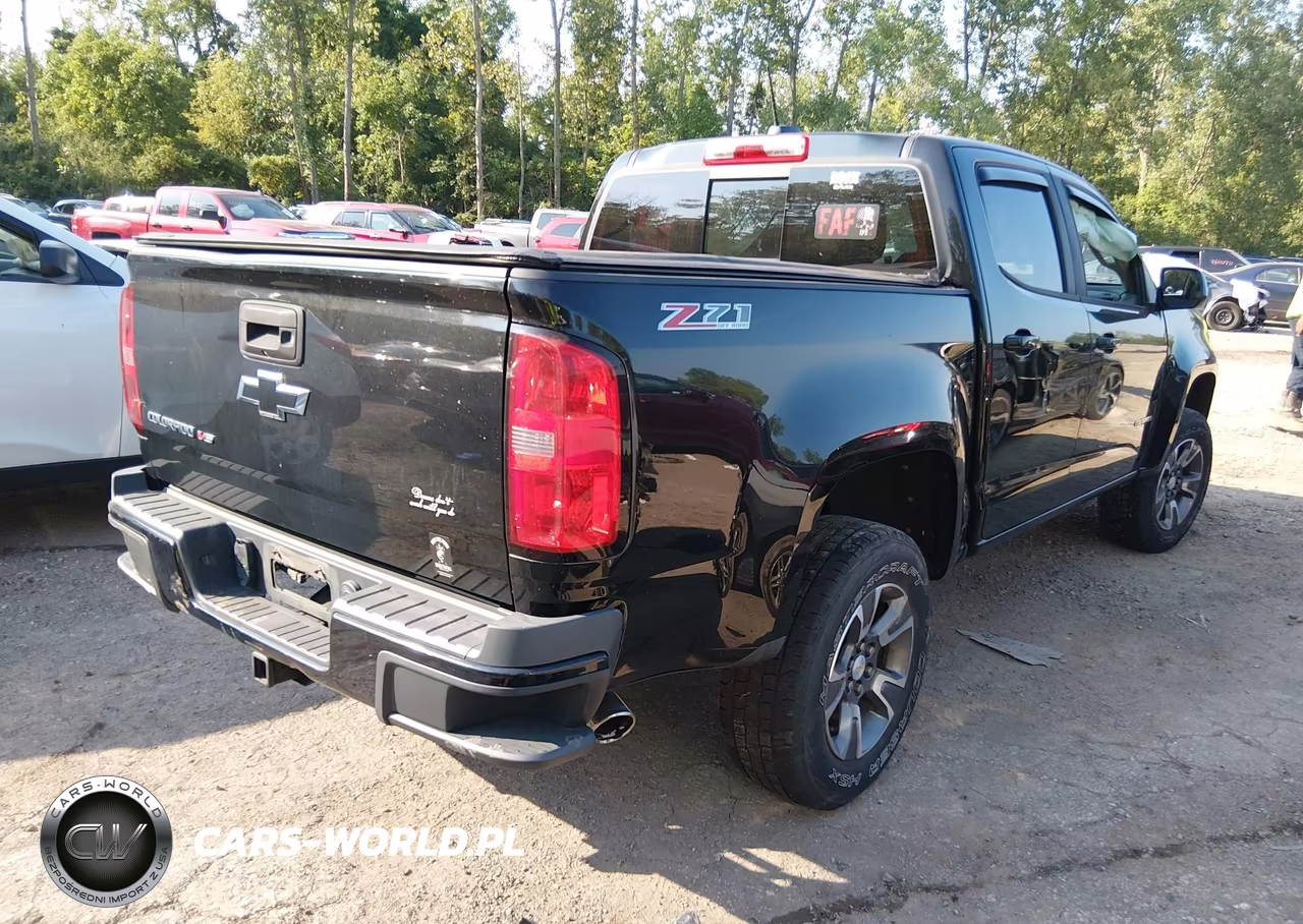 2017 Chevrolet Colorado Z71 VIN:1GCGTDEN5H1183483 - 4