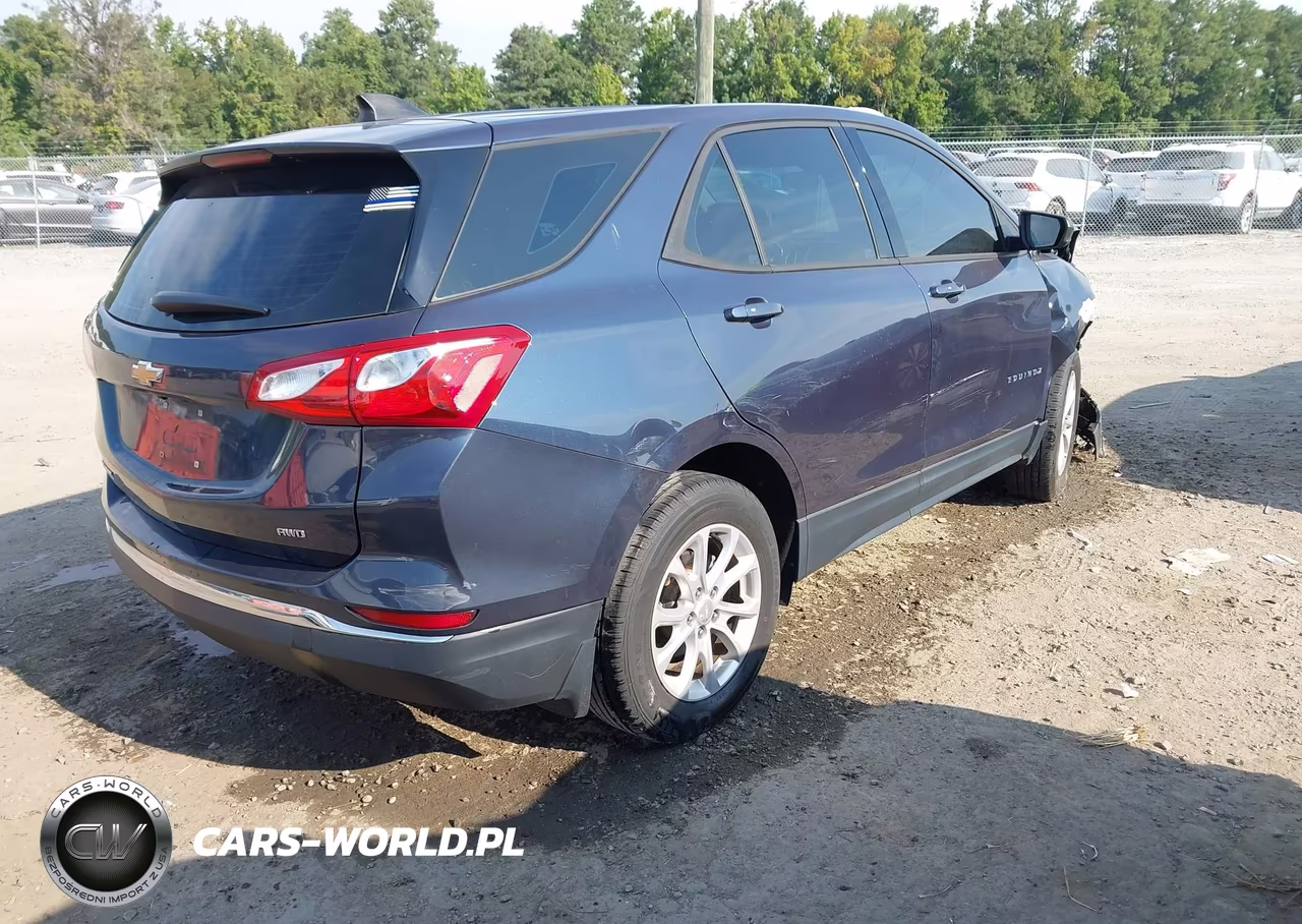 2018 Chevrolet Equinox Ls VIN:3GNAXREV2JL370239 - 4