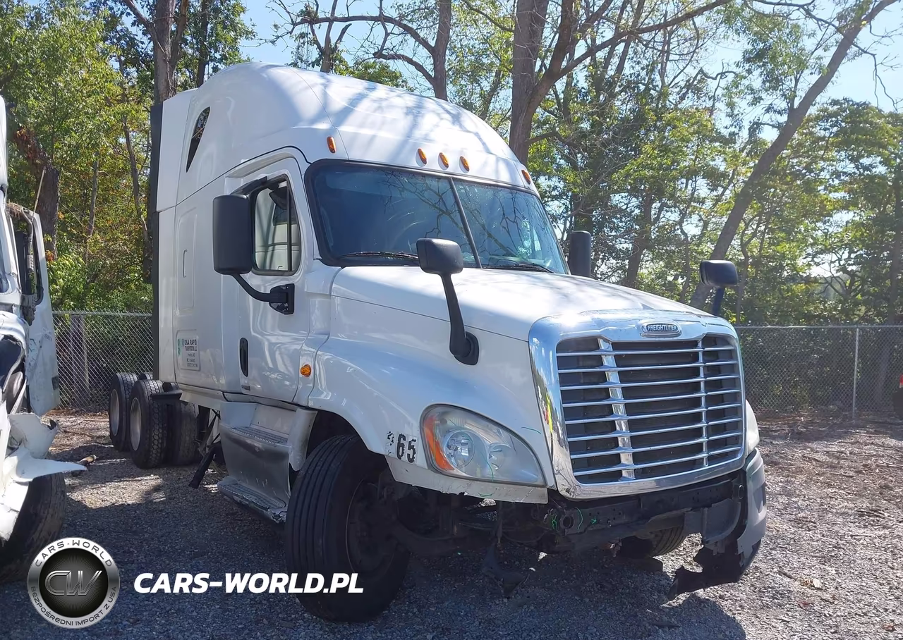 2015 Freightliner Cascadia 125 VIN:3AKJGLD59FSGD4983 - 11