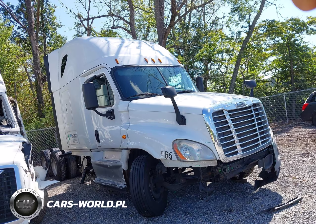 2015 Freightliner Cascadia 125 VIN:3AKJGLD59FSGD4983 - 17