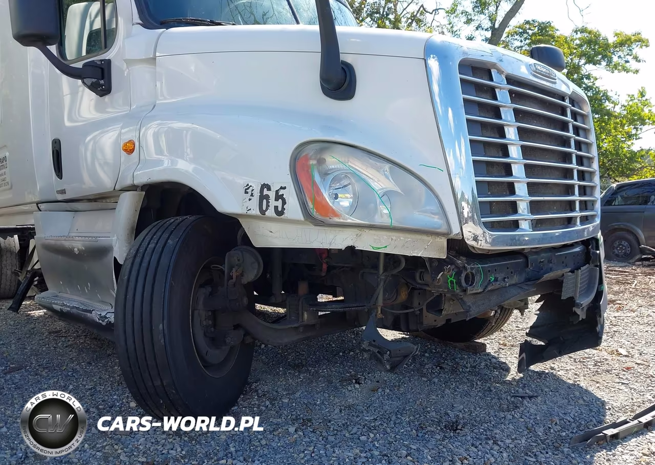 2015 Freightliner Cascadia 125 VIN:3AKJGLD59FSGD4983 - 20