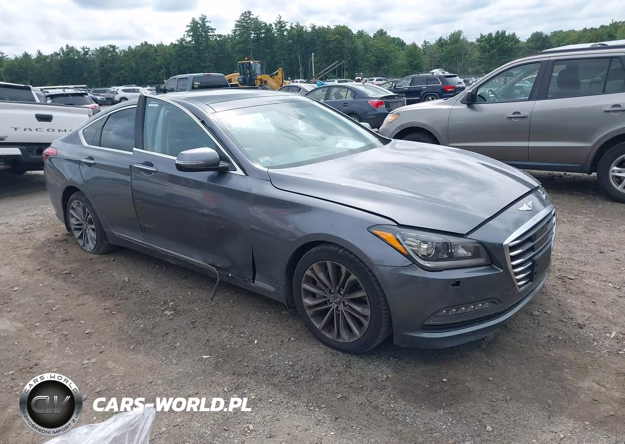 2016 Hyundai Genesis 3.8 VIN:KMHGN4JE4GU112042 - 1