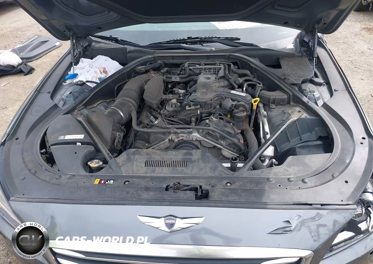2016 Hyundai Genesis 3.8 VIN:KMHGN4JE4GU112042 - 10