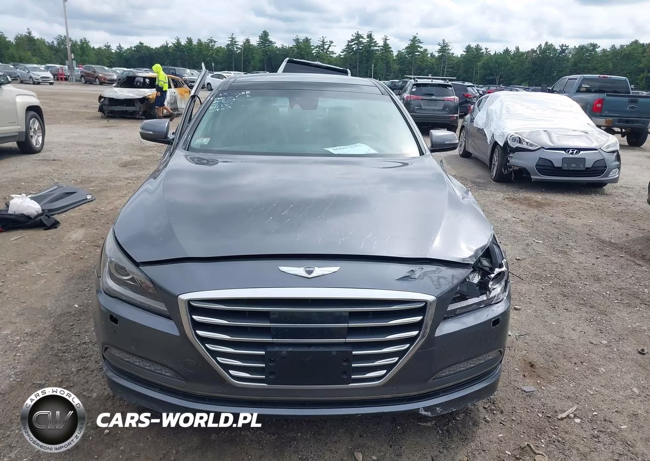 2016 Hyundai Genesis 3.8 VIN:KMHGN4JE4GU112042 - 12