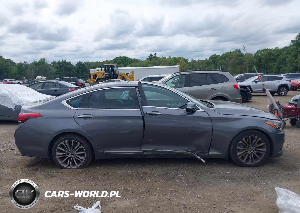 2016 Hyundai Genesis 3.8 VIN:KMHGN4JE4GU112042 - 13
