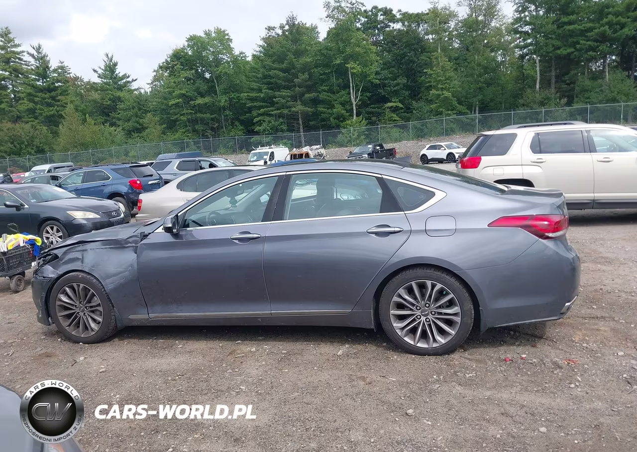 2016 Hyundai Genesis 3.8 VIN:KMHGN4JE4GU112042 - 14