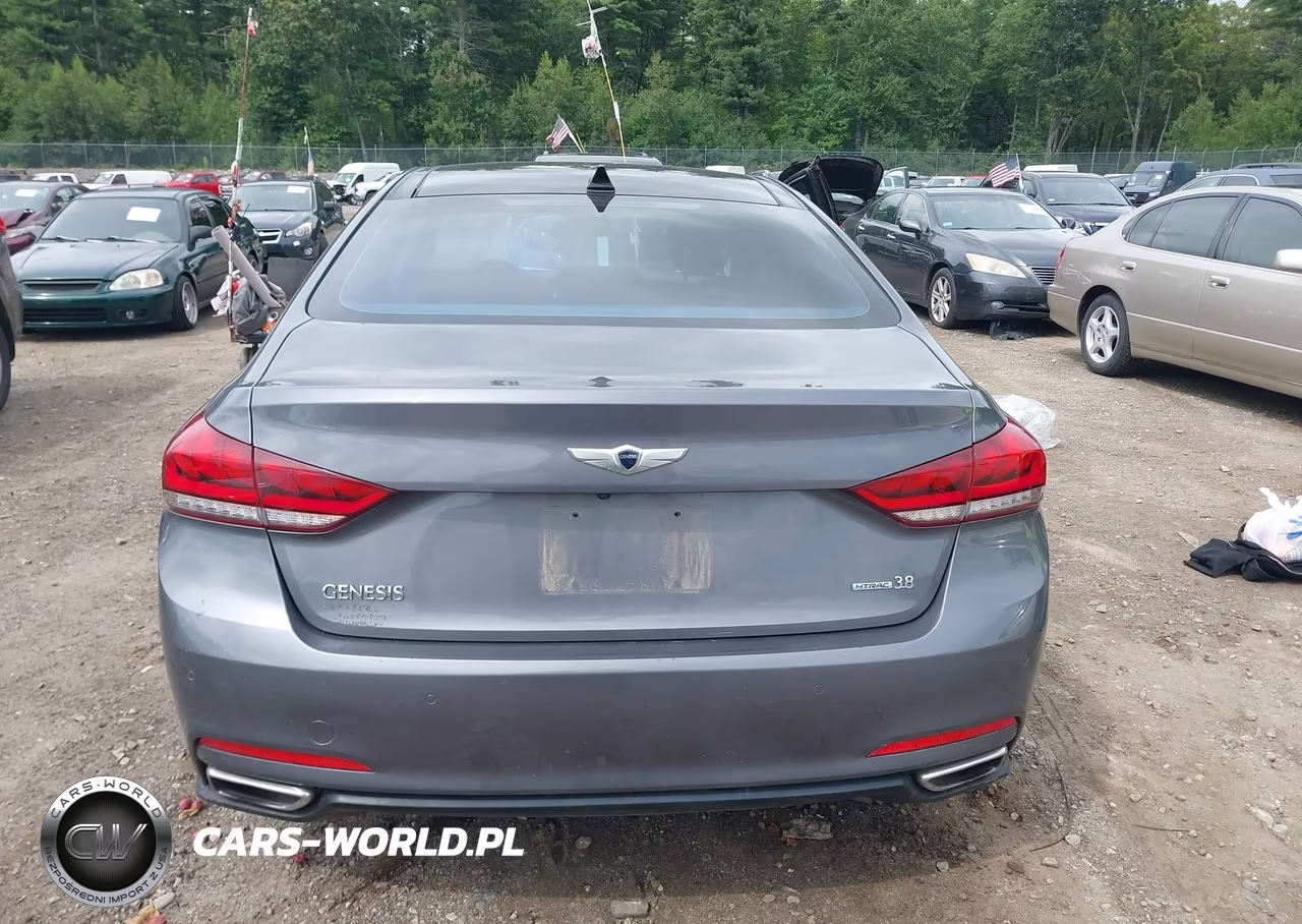 2016 Hyundai Genesis 3.8 VIN:KMHGN4JE4GU112042 - 16