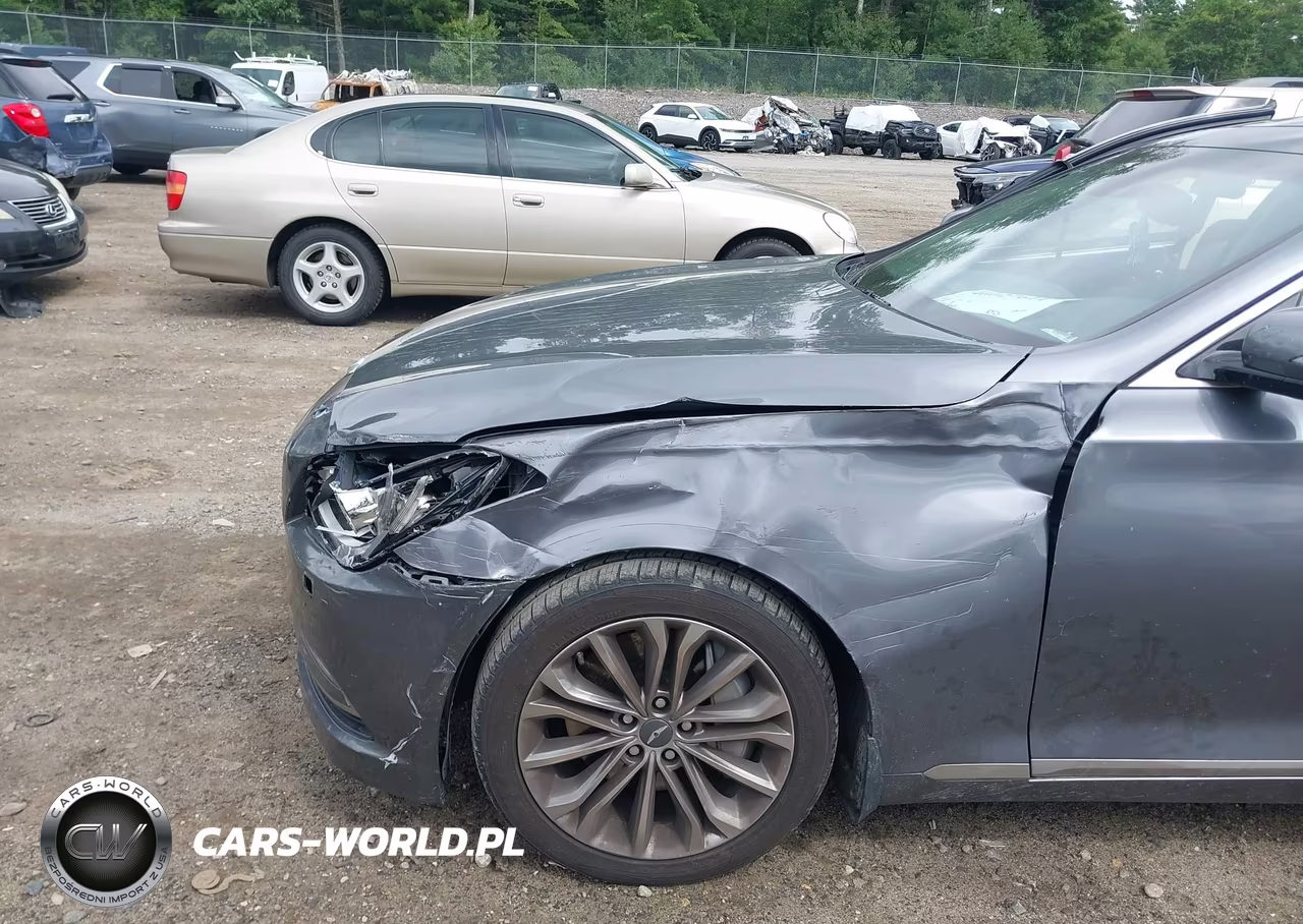 2016 Hyundai Genesis 3.8 VIN:KMHGN4JE4GU112042 - 17