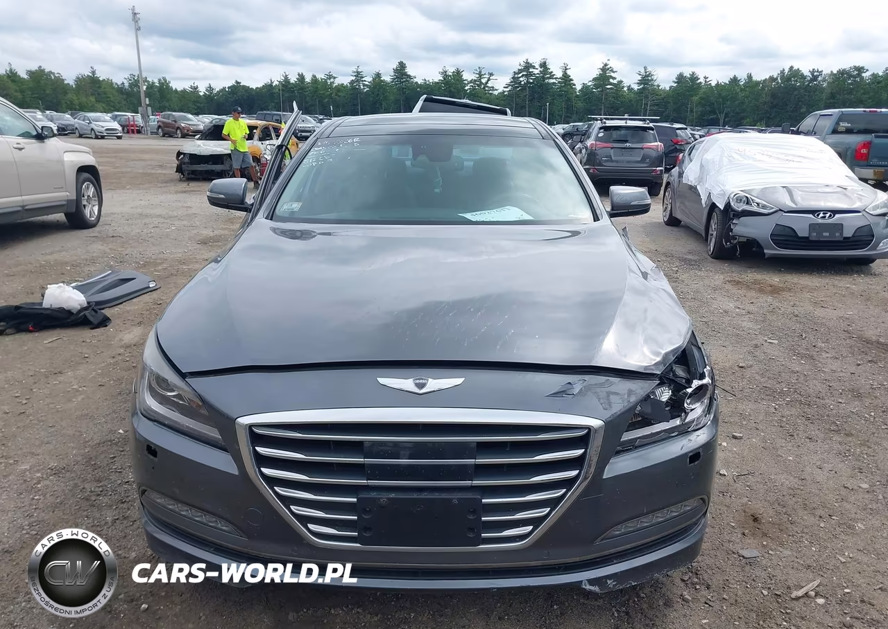2016 Hyundai Genesis 3.8 VIN:KMHGN4JE4GU112042 - 18