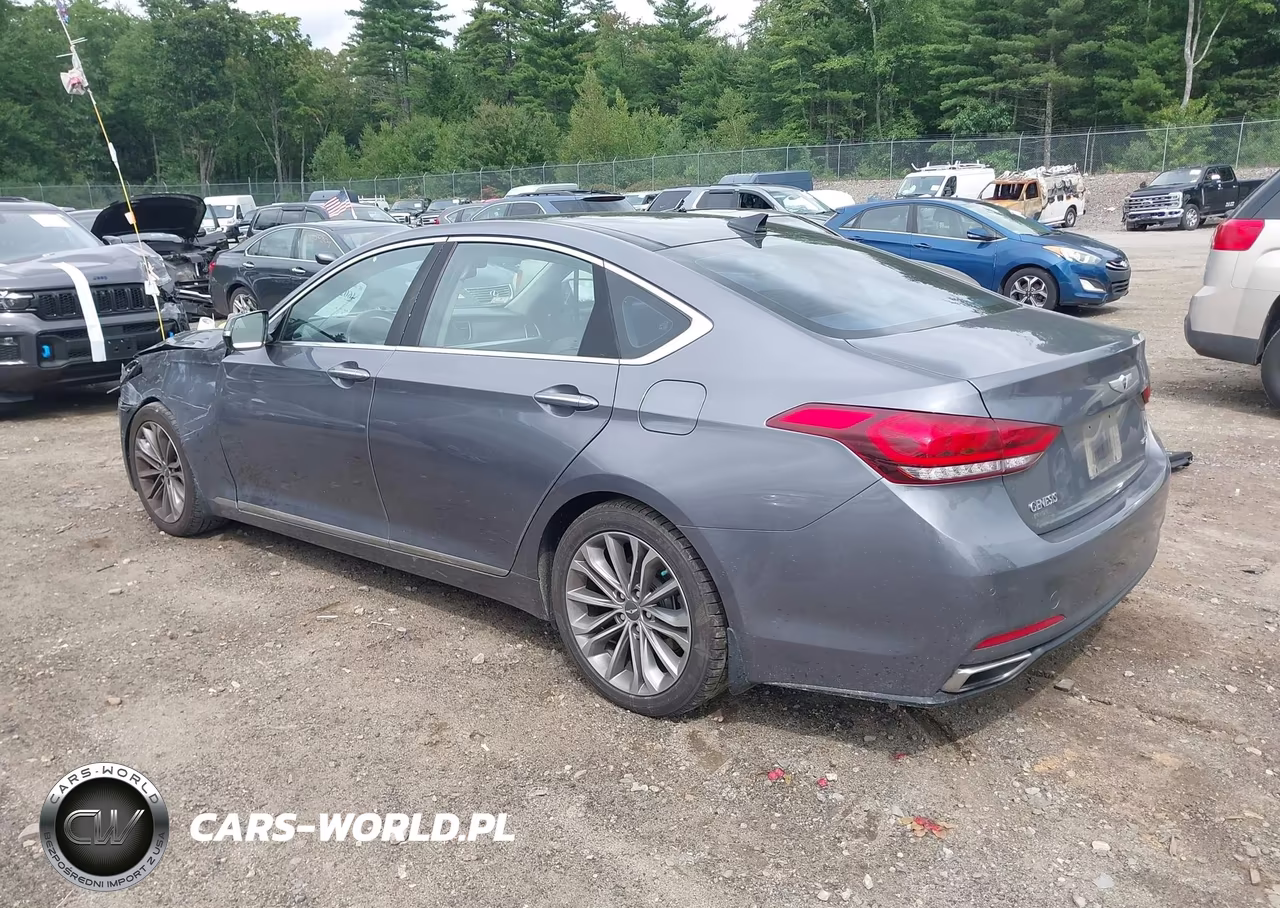 2016 Hyundai Genesis 3.8 VIN:KMHGN4JE4GU112042 - 3