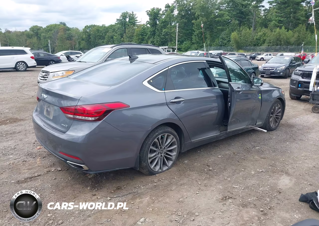2016 Hyundai Genesis 3.8 VIN:KMHGN4JE4GU112042 - 4