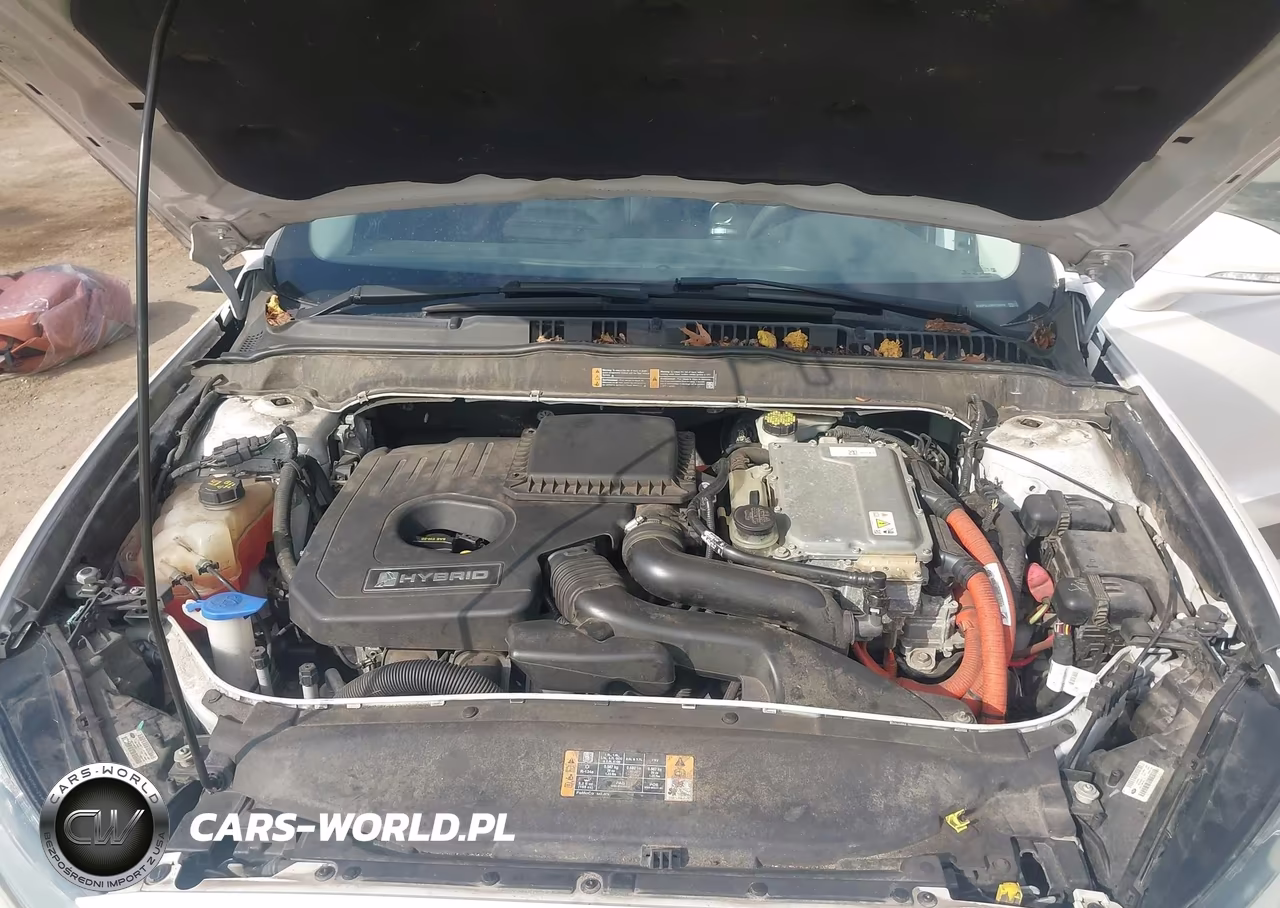 2014 Ford Fusion Hybrid Se VIN:3FA6P0LU3ER133918 - 10