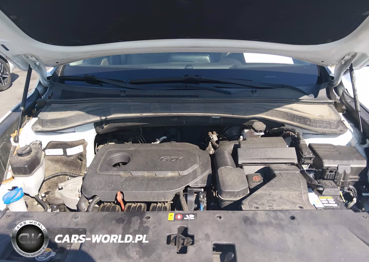 2019 Hyundai Santa Fe Se VIN:5NMS23AD2KH013874 - 10