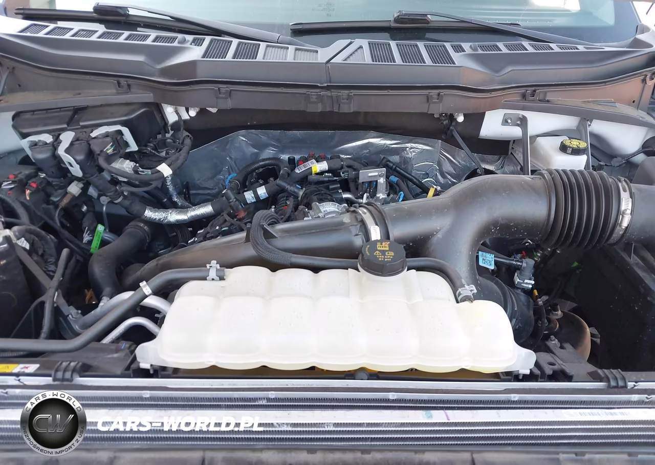 2025 Ford F-150 Xl VIN:1FTEW1LPXSKD67708 - 10