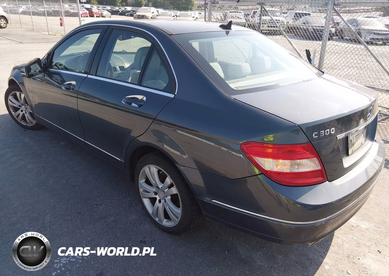 2010 Mercedes-Benz C 300 Luxury 4Matic-Sport 4Matic VIN:WDDGF8BB9AF462975 - 3