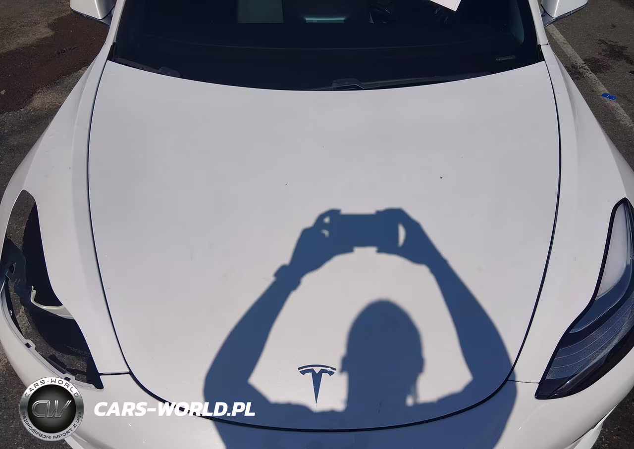 2019 Tesla Model 3 Long Range-Performance VIN:5YJ3E1EB0KF493326 - 10