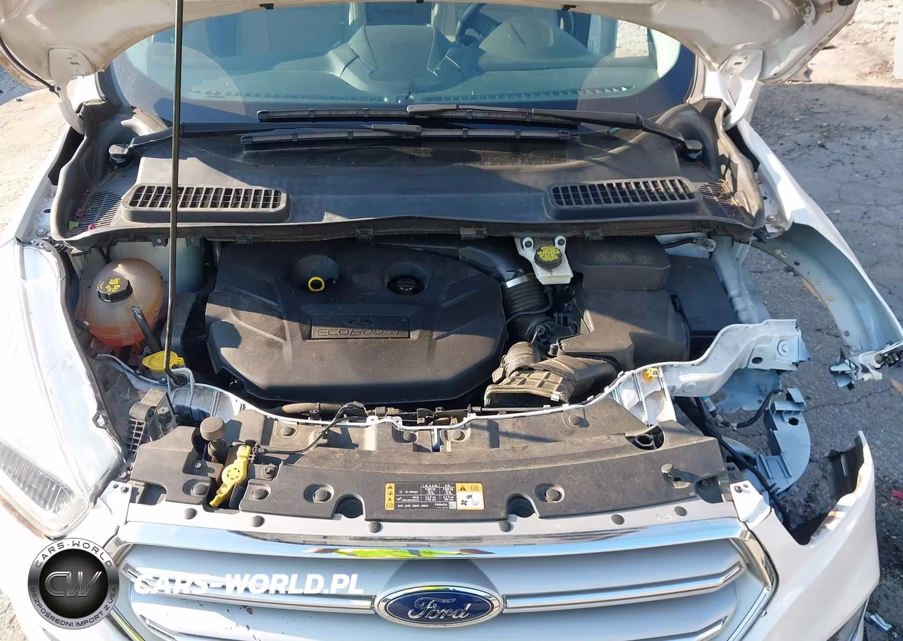 2019 Ford Escape Titanium VIN:1FMCU0J94KUA49742 - 10