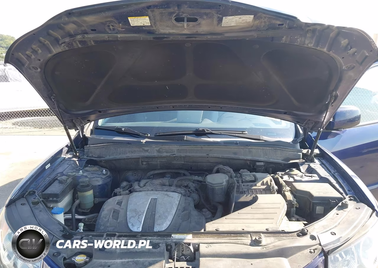 2010 Hyundai Santa Fe Limited V6 VIN:5NMSK4AG7AH408499 - 10