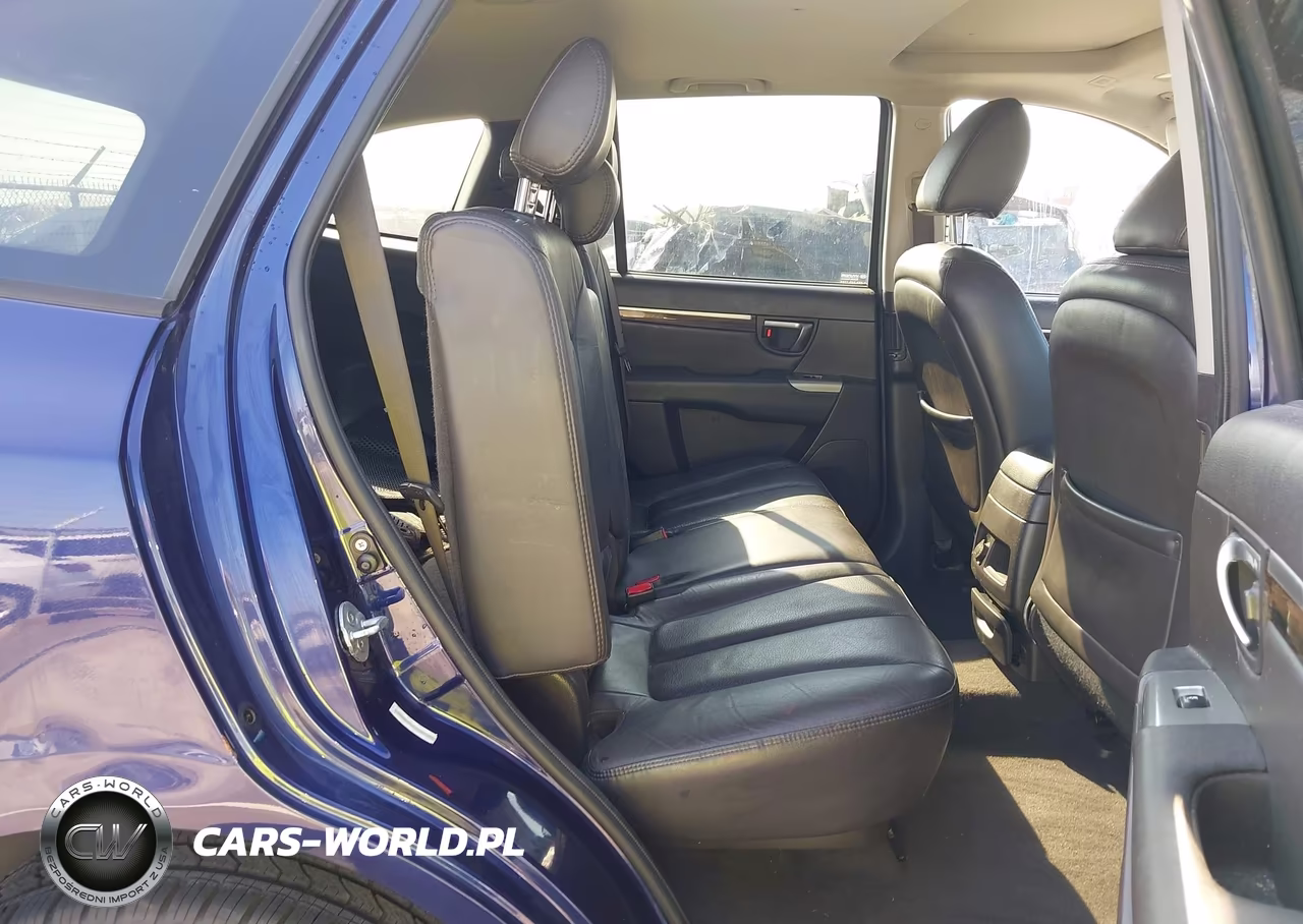 2010 Hyundai Santa Fe Limited V6 VIN:5NMSK4AG7AH408499 - 8