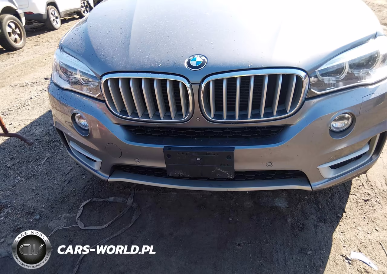 2015 BMW X5 xDrive50I VIN:5UXKR6C57F0J76009 - 12