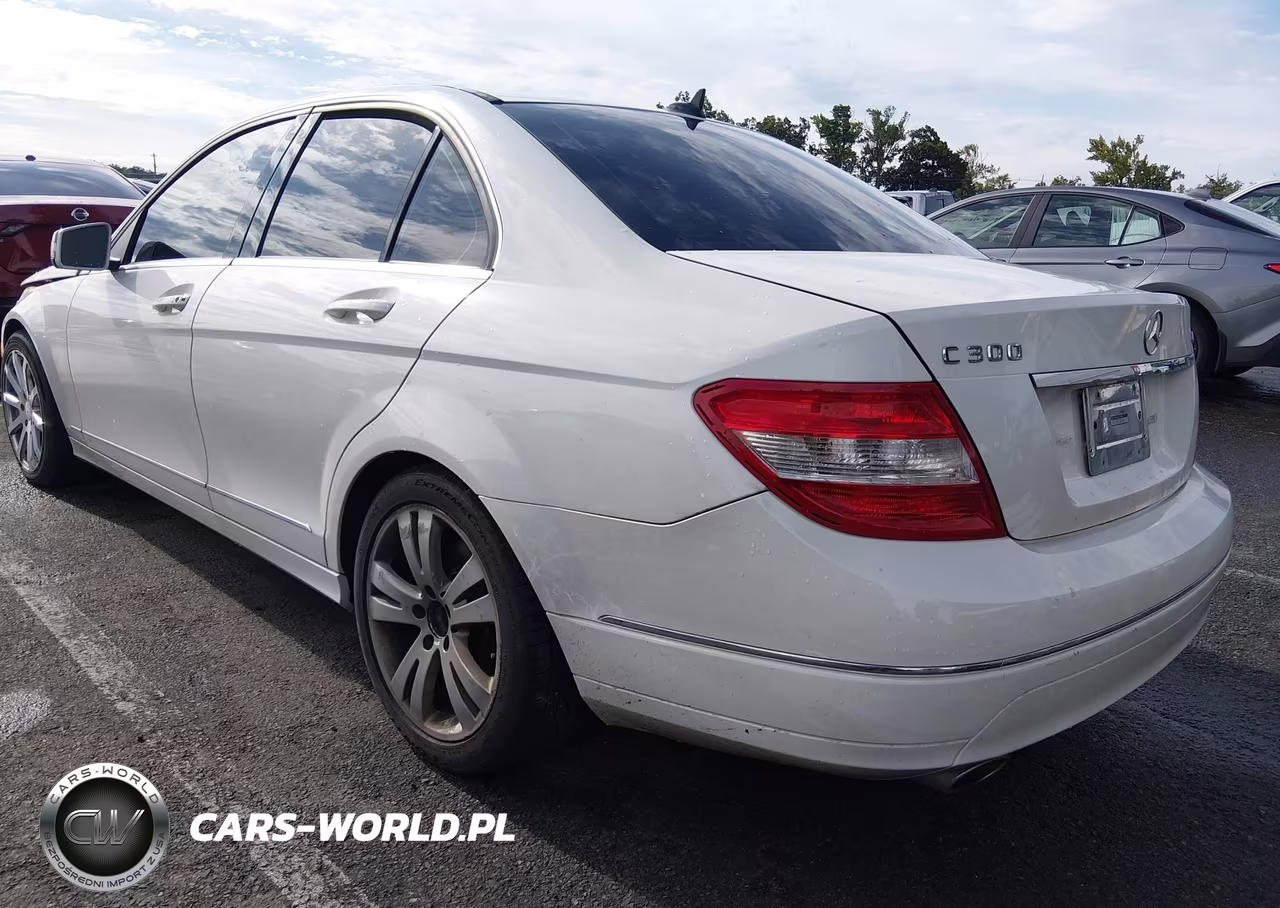 2010 Mercedes-Benz C 300 4Matic VIN:WDDGF8BB4AF433898 - 3