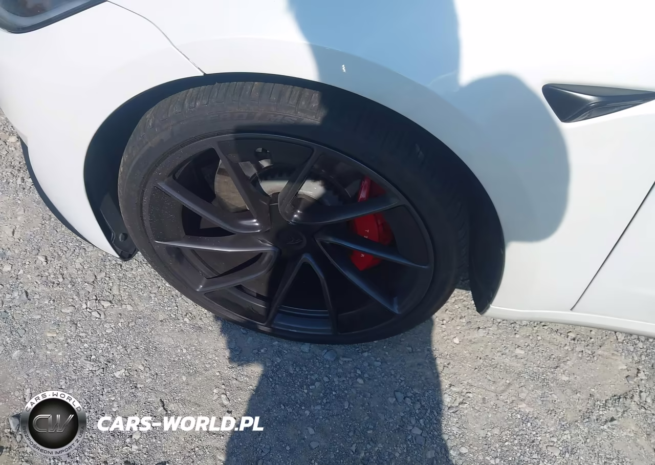 2025 Tesla Model 3 Performance All-Wheel Drive VIN:5YJ3E1ETXSF001667 - 10