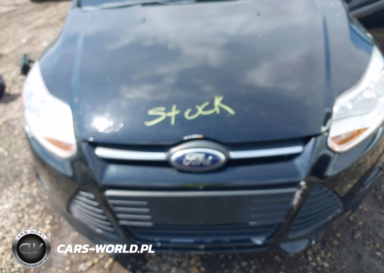 2014 Ford Focus Se VIN:1FADP3F28EL257443 - 10